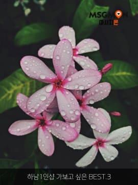 하남1인샵 가보고 싶은 BEST.3