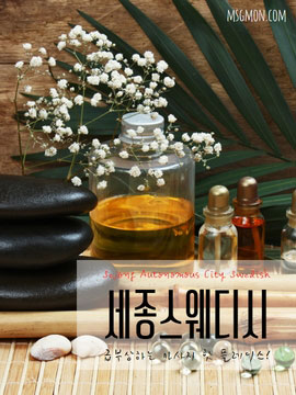 세종스웨디시 지역의 특징과 지역별 분포