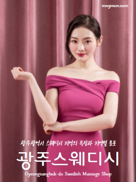 광주스웨디시 지역의 특징과 지역별 분포