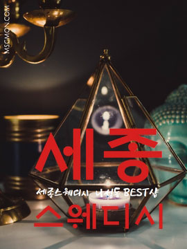 세종 스웨디시 나성동 BEST샵