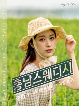 충남스웨디시 지역의 특징과 지역별 분포