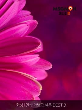 화성1인샵 가보고 싶은 BEST.3