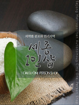 세종1인샵 지역별 분포와 인기지역