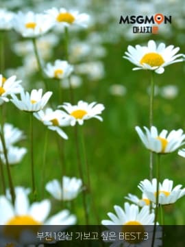 부천1인샵 가보고 싶은 BEST.3