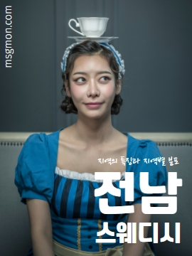 전남스웨디시 지역의 특징과 지역별 분포