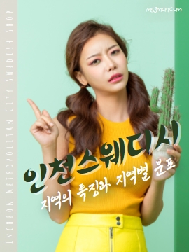 인천스웨디시 지역의 특징과 지역별 분포