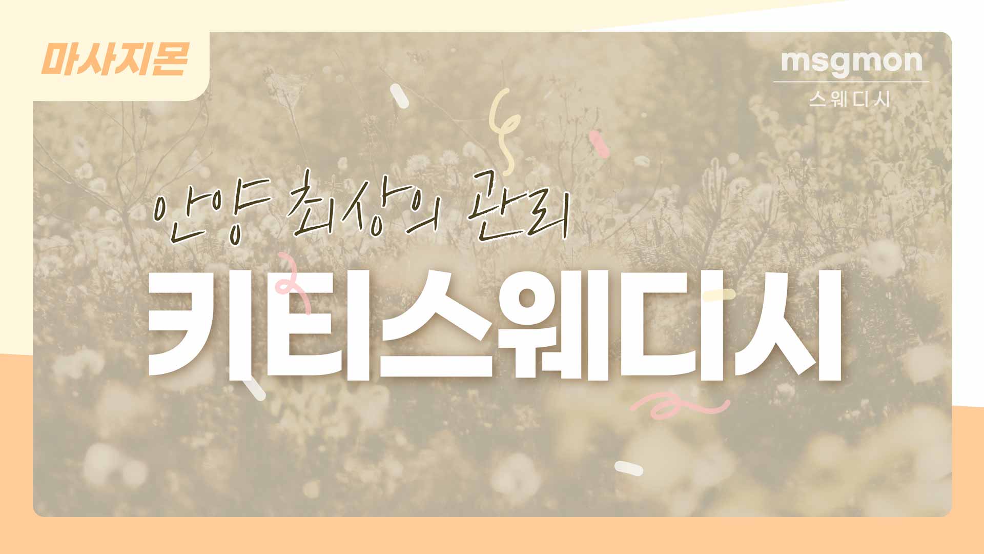 안양 키티스웨디시