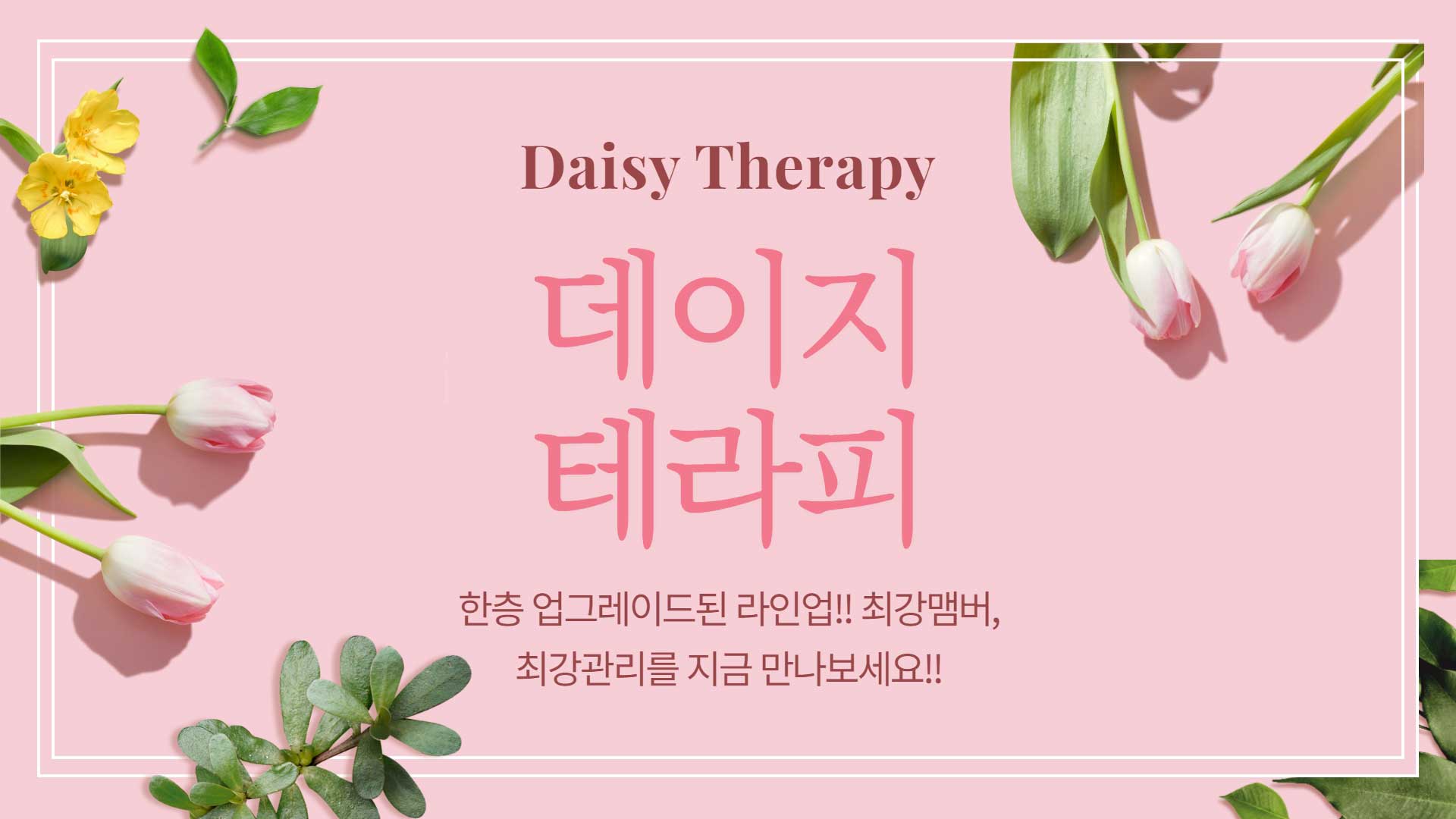 송파 데이지테라피
