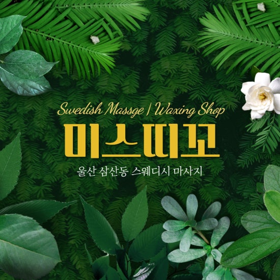 울산 미스띠꼬스웨디시