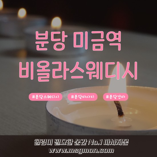 분당 비올라스웨디시