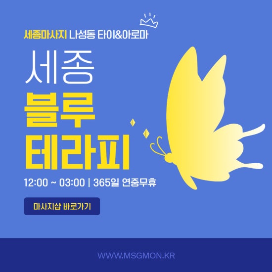 세종 블루테라피