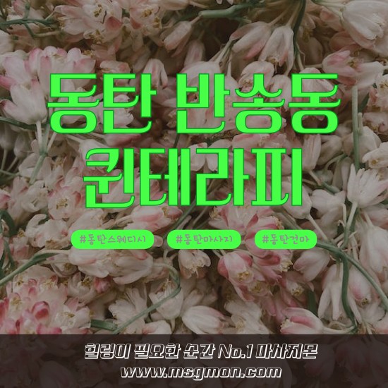 동탄 샤넬테라피