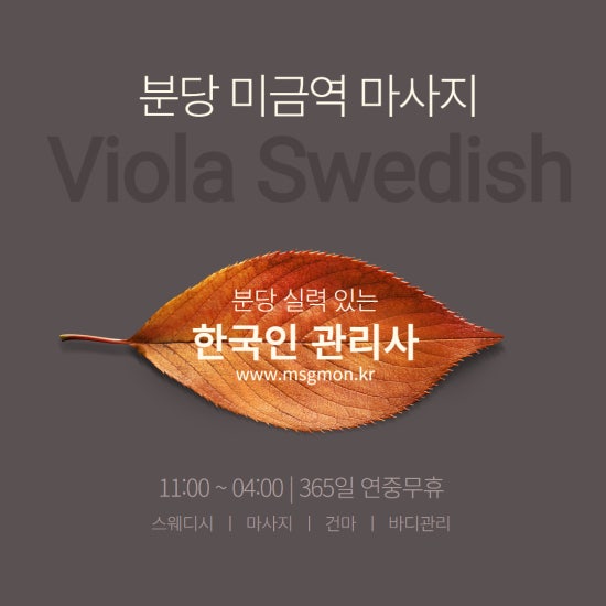 분당 비올라스웨디시