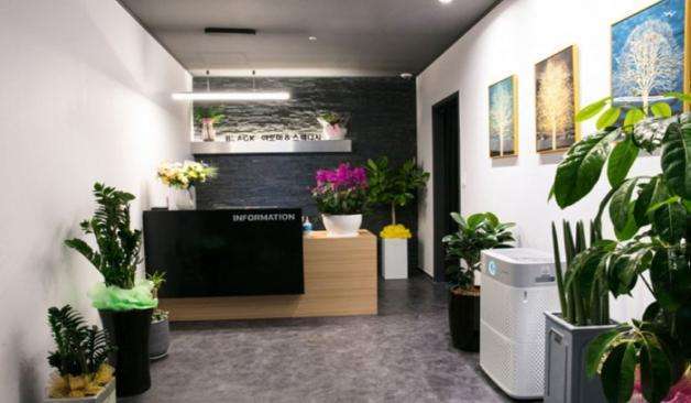 강원도 원주 뉴블랙스웨디시