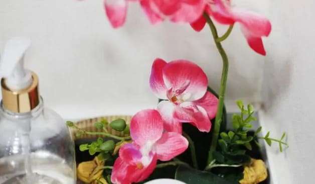 인천 석남동 달콤타이