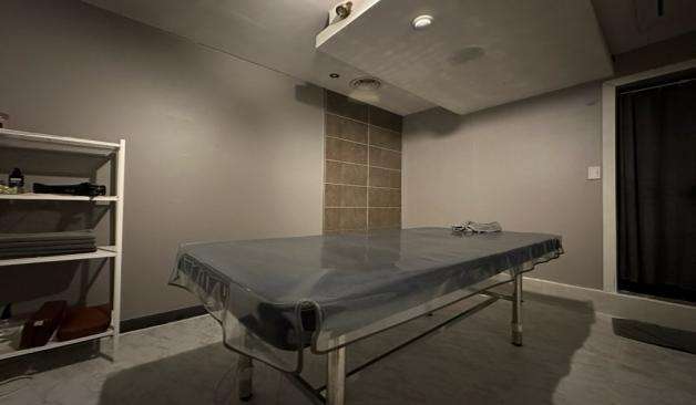  복숭아스웨디시 업체사진