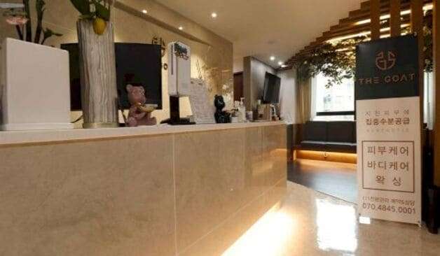 서초 논현 고트테라피 후기