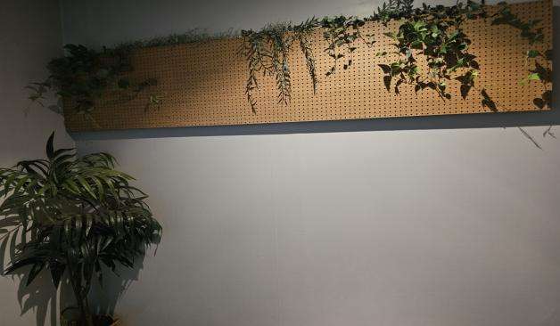 안양 평촌 뉴힐링 벽면