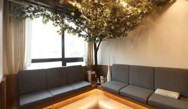 서초 잠원 고트테라피