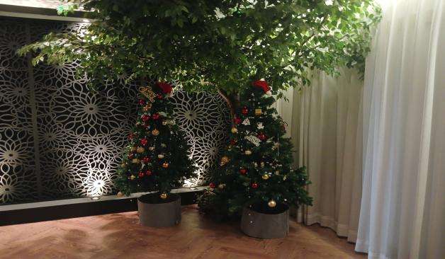 천안 불당동 새로스웨디시 벽 크리스마스 트리
