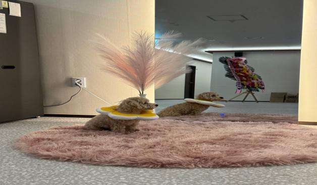 수원 이슬테라피 