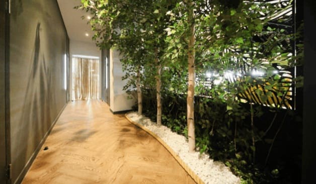 천안 오늘테라피 복도 나무길