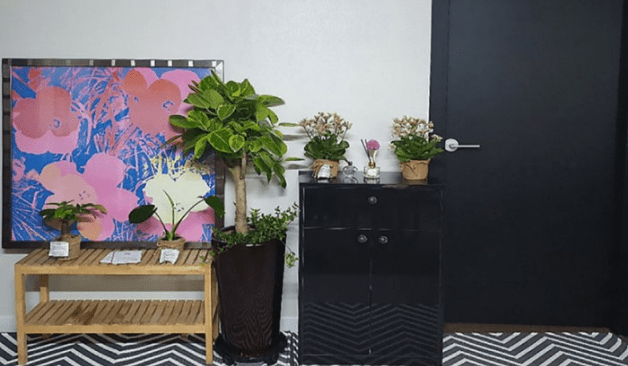 군포 골드스웨디시 입구