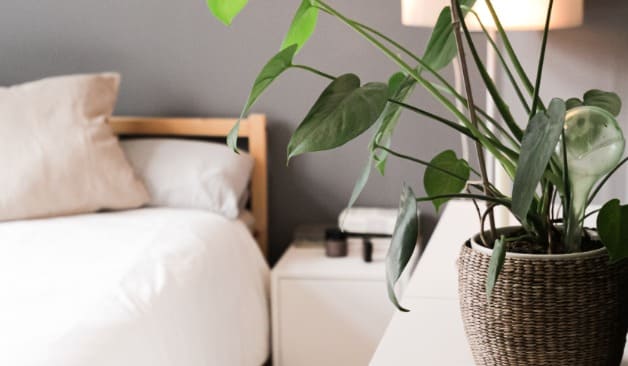 동두천 1인샵하늬