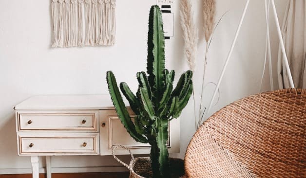 세종 명품스웨디시