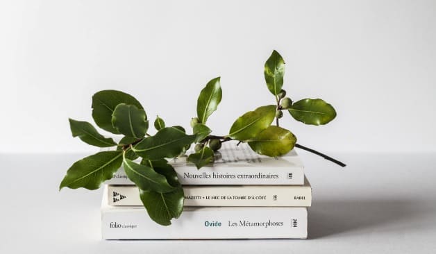 마포 1인샵체리