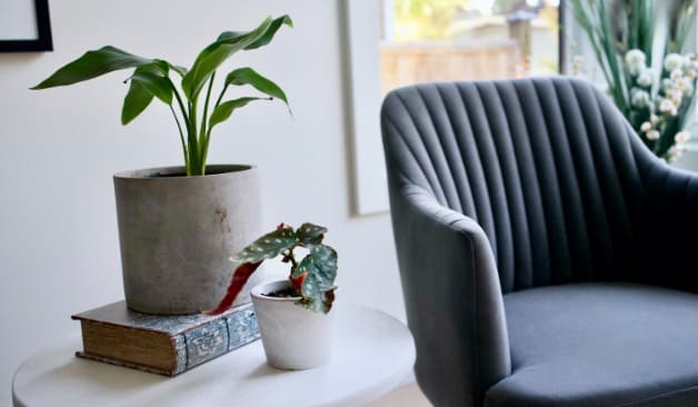 천안 도도바디케어