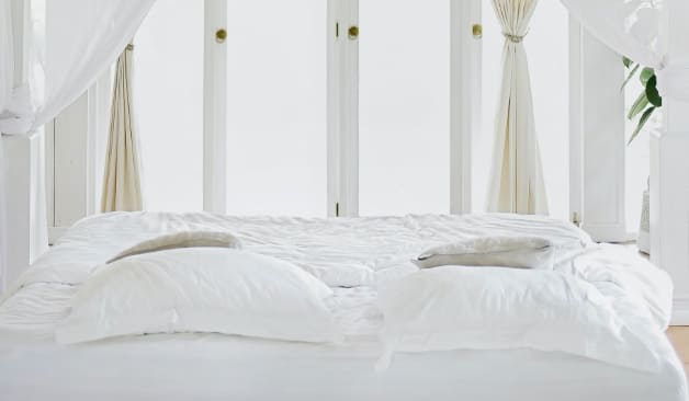 화성 1인샵고은