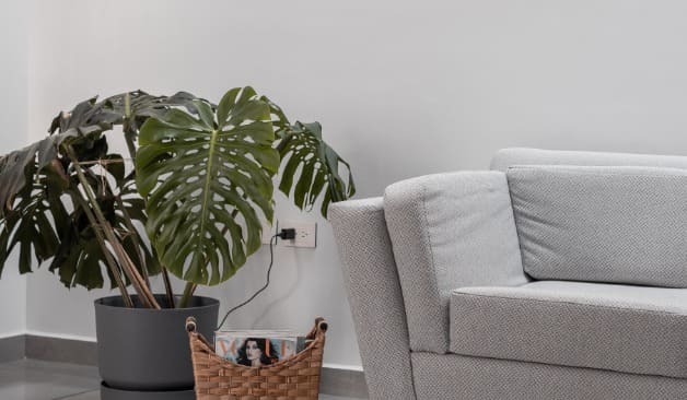 수원 해피아로마