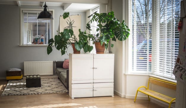 성남 밀라노왁싱