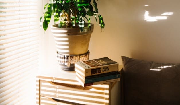 부산 버블테라피