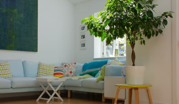 화성 탑시크릿&스웨디시