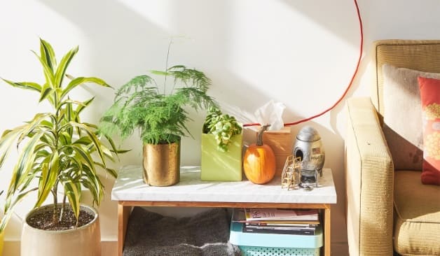 일산 1인샵미나