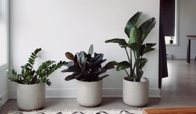 제주 1인샵반하나