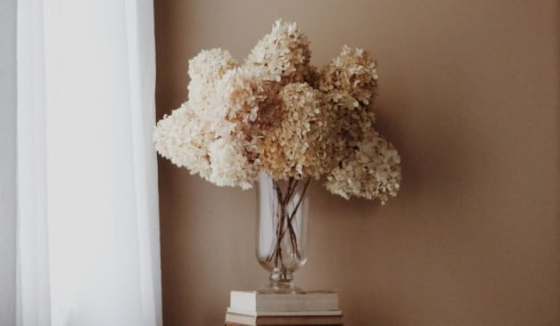 일산 1인샵벨라