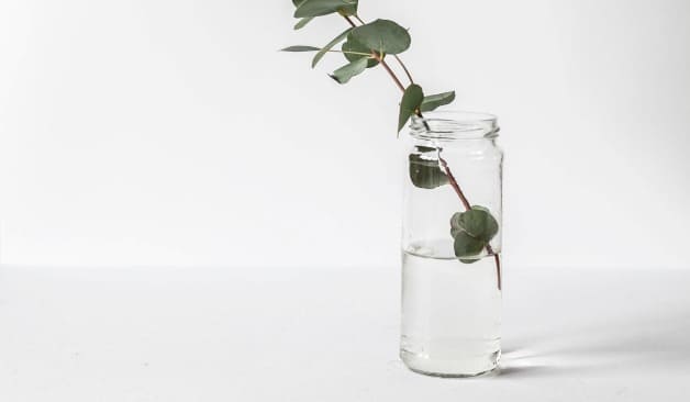 광양 샤인테라피