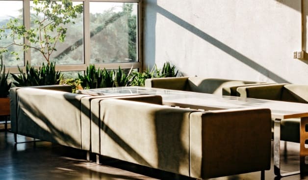 제주 1인샵튤립