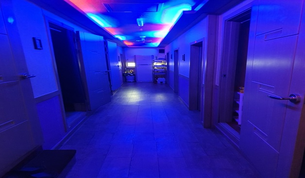 성남 모란역 이심전심