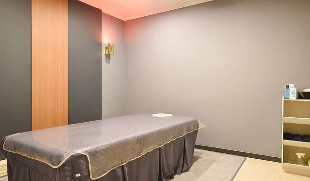 세종 보람동 반하다스웨디시