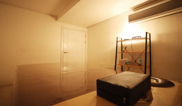 디오르스웨디시