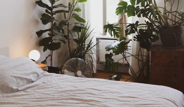 강북 수유 1인샵 사이다