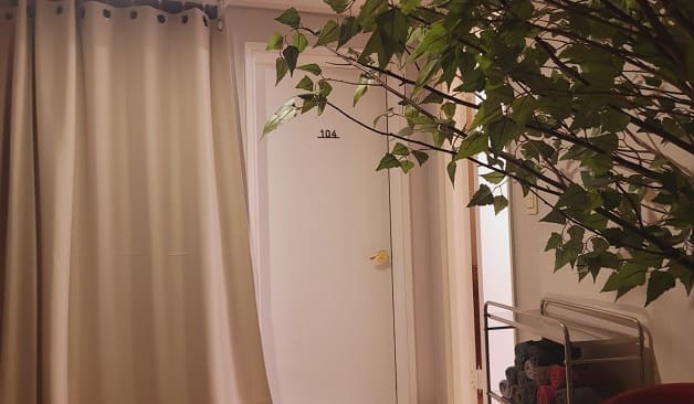 일산 정발산역 한그루스웨디시