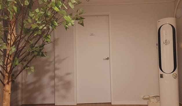 일산 정발산역 한그루