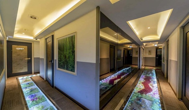 안암동 시크릿스웨디시