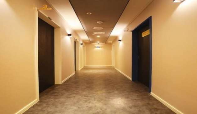 안양 바비테라피