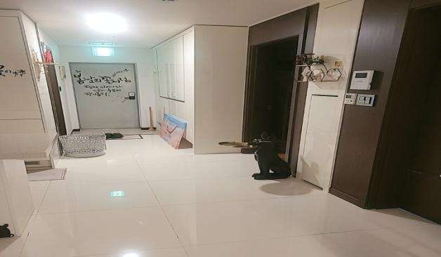 용인 신갈동 1인샵 다온